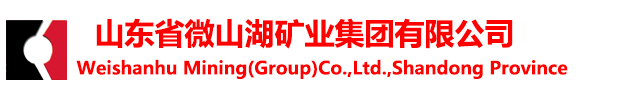 山东省乐动在线注册有限公司